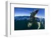 Underwater Polar Bear, Hudson Bay, Nunavut, Canada-Paul Souders-Framed Photographic Print