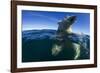 Underwater Polar Bear, Hudson Bay, Nunavut, Canada-Paul Souders-Framed Photographic Print