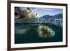 Underwater Polar Bear, Hudson Bay, Nunavut, Canada-Paul Souders-Framed Photographic Print