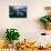 Underwater Polar Bear, Hudson Bay, Nunavut, Canada-Paul Souders-Photographic Print displayed on a wall