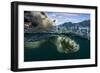 Underwater Polar Bear, Hudson Bay, Nunavut, Canada-Paul Souders-Framed Photographic Print