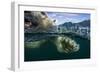 Underwater Polar Bear, Hudson Bay, Nunavut, Canada-Paul Souders-Framed Photographic Print