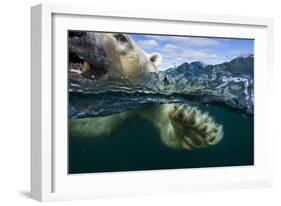 Underwater Polar Bear, Hudson Bay, Nunavut, Canada-Paul Souders-Framed Photographic Print