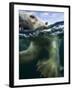 Underwater Polar Bear, Hudson Bay, Nunavut, Canada-Paul Souders-Framed Photographic Print