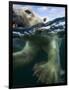 Underwater Polar Bear, Hudson Bay, Nunavut, Canada-Paul Souders-Framed Photographic Print