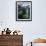 Underwater Polar Bear, Hudson Bay, Nunavut, Canada-Paul Souders-Framed Photographic Print displayed on a wall