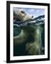 Underwater Polar Bear, Hudson Bay, Nunavut, Canada-Paul Souders-Framed Photographic Print