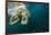 Underwater Polar Bear, Hudson Bay, Nunavut, Canada-Paul Souders-Framed Photographic Print