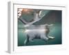 Underwater Polar Bear, Hudson Bay, Nunavut, Canada-Paul Souders-Framed Photographic Print