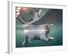 Underwater Polar Bear, Hudson Bay, Nunavut, Canada-Paul Souders-Framed Photographic Print