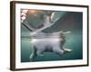 Underwater Polar Bear, Hudson Bay, Nunavut, Canada-Paul Souders-Framed Photographic Print