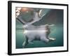 Underwater Polar Bear, Hudson Bay, Nunavut, Canada-Paul Souders-Framed Photographic Print