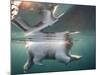 Underwater Polar Bear, Hudson Bay, Nunavut, Canada-Paul Souders-Mounted Photographic Print