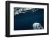 Underwater Polar Bear near Frozen Strait, Nunavut, Canada-Paul Souders-Framed Photographic Print