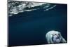 Underwater Polar Bear near Frozen Strait, Nunavut, Canada-Paul Souders-Mounted Photographic Print