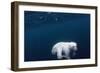 Underwater Polar Bear near Frozen Strait, Nunavut, Canada-Paul Souders-Framed Photographic Print