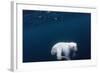 Underwater Polar Bear near Frozen Strait, Nunavut, Canada-Paul Souders-Framed Photographic Print