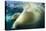 Underwater Polar Bear, Nunavut, Canada-Paul Souders-Stretched Canvas