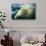 Underwater Polar Bear, Nunavut, Canada-Paul Souders-Photographic Print displayed on a wall