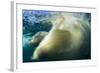 Underwater Polar Bear, Nunavut, Canada-Paul Souders-Framed Photographic Print