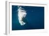 Underwater Polar Bear, Nunavut, Canada-Paul Souders-Framed Photographic Print