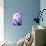 Underwater Princess-Sofia Studencki-Mounted Photographic Print displayed on a wall