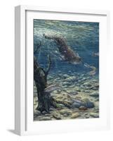 Underwater Pursuit-Jeff Tift-Framed Giclee Print