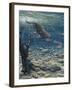 Underwater Pursuit-Jeff Tift-Framed Giclee Print