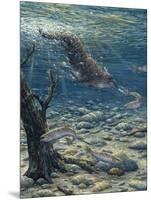 Underwater Pursuit-Jeff Tift-Mounted Giclee Print