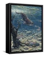 Underwater Pursuit-Jeff Tift-Framed Stretched Canvas