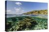 Underwater Reef System of the Marine Reserve on Moya Island, Nusa Tenggara Province, Indonesia-Michael Nolan-Stretched Canvas