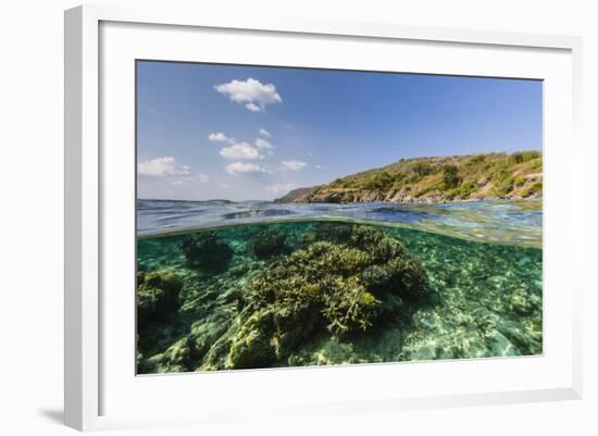 Underwater Reef System of the Marine Reserve on Moya Island, Nusa Tenggara Province, Indonesia-Michael Nolan-Framed Photographic Print