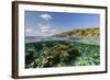 Underwater Reef System of the Marine Reserve on Moya Island, Nusa Tenggara Province, Indonesia-Michael Nolan-Framed Photographic Print