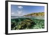 Underwater Reef System of the Marine Reserve on Moya Island, Nusa Tenggara Province, Indonesia-Michael Nolan-Framed Photographic Print