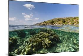 Underwater Reef System of the Marine Reserve on Moya Island, Nusa Tenggara Province, Indonesia-Michael Nolan-Mounted Photographic Print