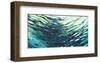 Underwater Reflections-Margaret Juul-Framed Art Print