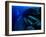 Underwater Ruins-null-Framed Photographic Print