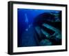 Underwater Ruins-null-Framed Photographic Print