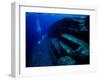 Underwater Ruins-null-Framed Photographic Print