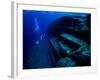 Underwater Ruins-null-Framed Photographic Print