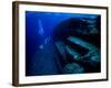 Underwater Ruins-null-Framed Photographic Print