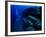 Underwater Ruins-null-Framed Photographic Print