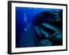 Underwater Ruins-null-Framed Photographic Print