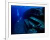 Underwater Ruins-null-Framed Photographic Print