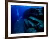 Underwater Ruins-null-Framed Photographic Print