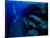 Underwater Ruins-null-Mounted Photographic Print