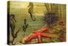 Underwater Scene with Starfish and Seahorses-null-Stretched Canvas