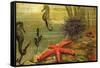 Underwater Scene with Starfish and Seahorses-null-Framed Stretched Canvas