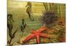 Underwater Scene with Starfish and Seahorses-null-Mounted Premium Giclee Print