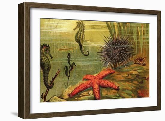 Underwater Scene with Starfish and Seahorses-null-Framed Art Print